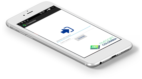FiveMobile - Software para Captura de Datos en Terreno en tiempo real